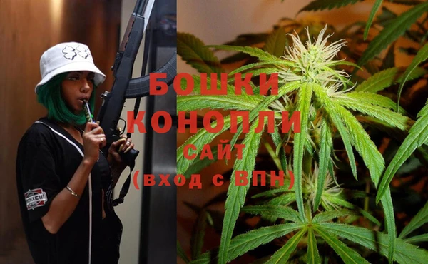 винт Бородино