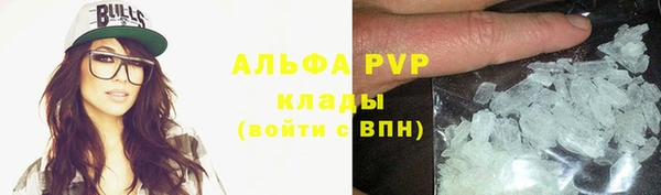 винт Бородино