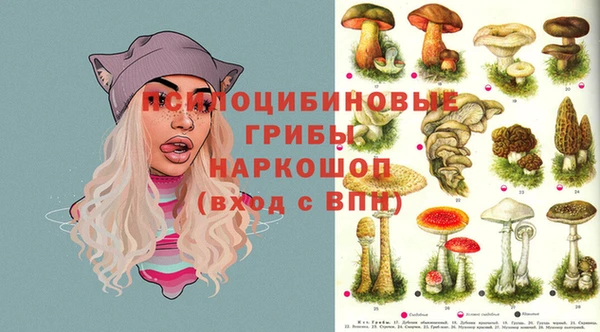 гашик Бронницы