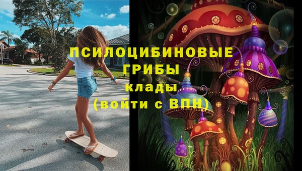 МДПВ Верхний Тагил