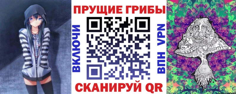 Купить где  Гаврилов-Ям  Псилоцибиновые грибы MAGIC MUSHROOMS 